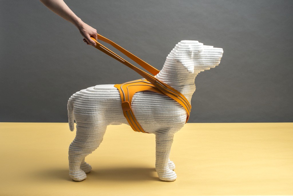 Sam – Führgeschirr für Blindenhunde