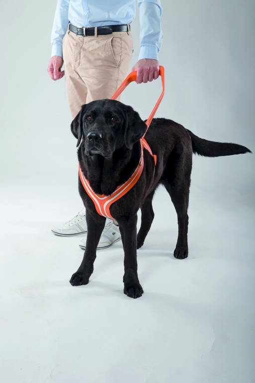 Sam – Führgeschirr für Blindenhunde